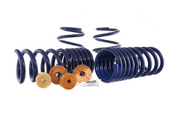 2015-2023 MUSTANG TRACK LOWERING SPRING KIT
